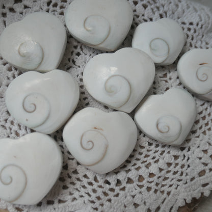 Polished heart-shaped Shiva Eye Shell