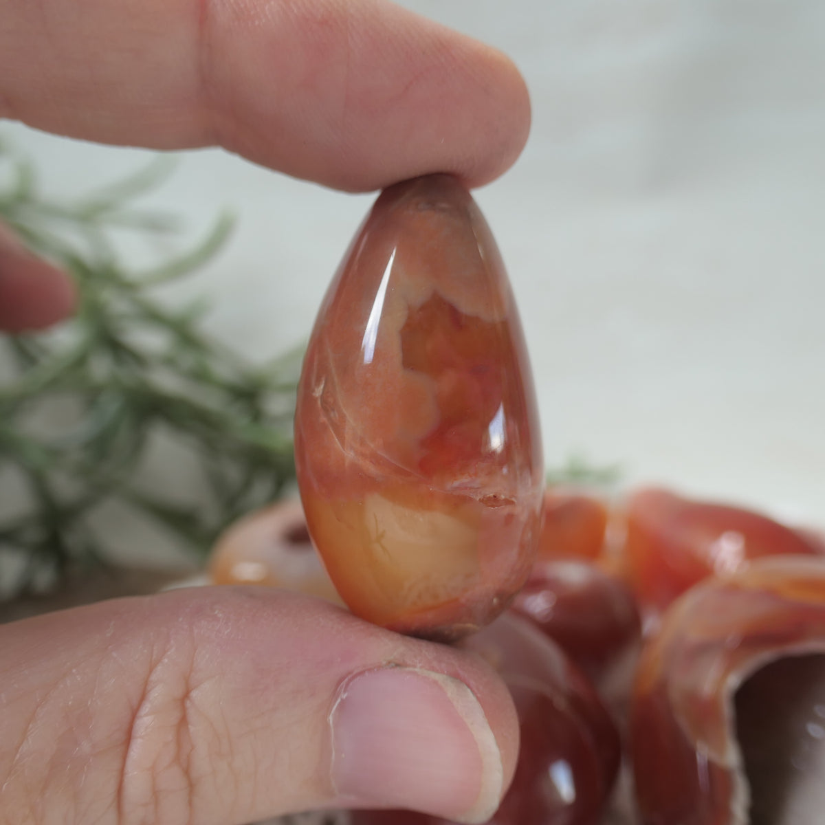 Carnelian Druzy Egg 10
