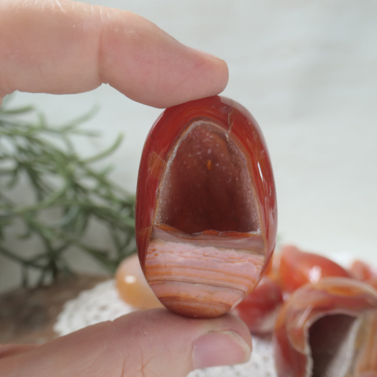 Carnelian Druzy Egg 8