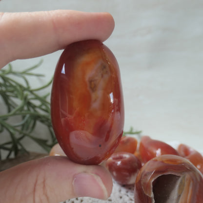 Carnelian Druzy Egg 8
