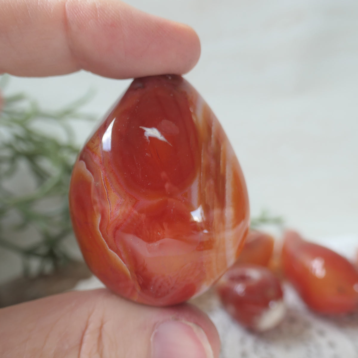 Carnelian Druzy Egg 7