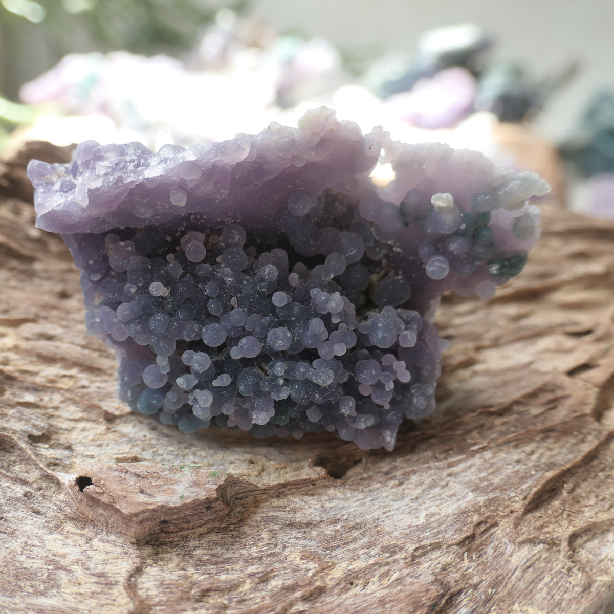 Grape Agate Piece - LR2