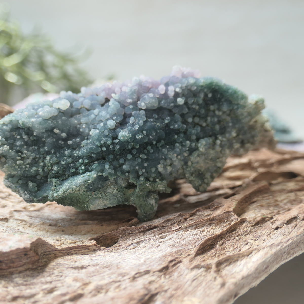 Grape Agate Piece - LR1