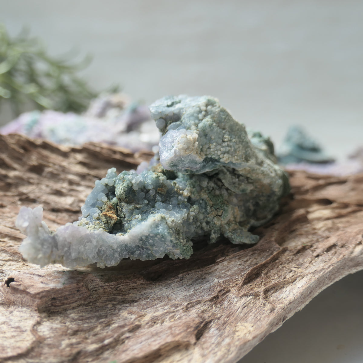 Grape Agate Piece - LR1