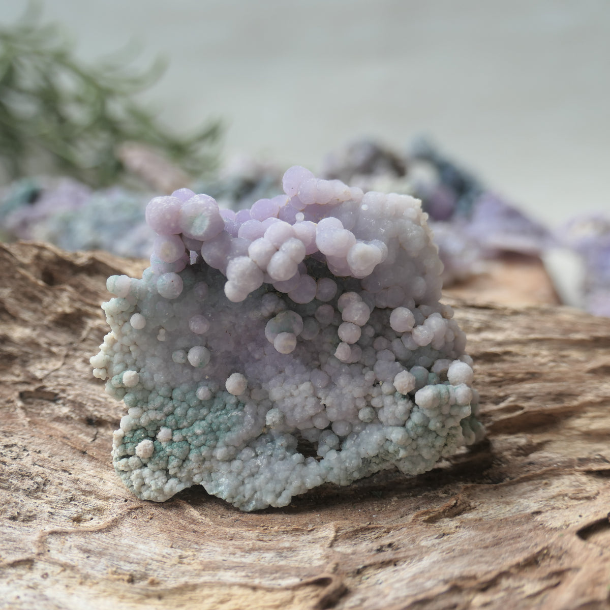 Grape Agate Piece - SM13