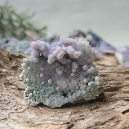 Grape Agate Piece - SM13