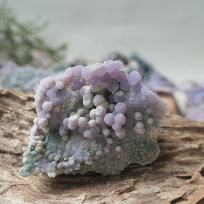 Grape Agate Piece - SM13