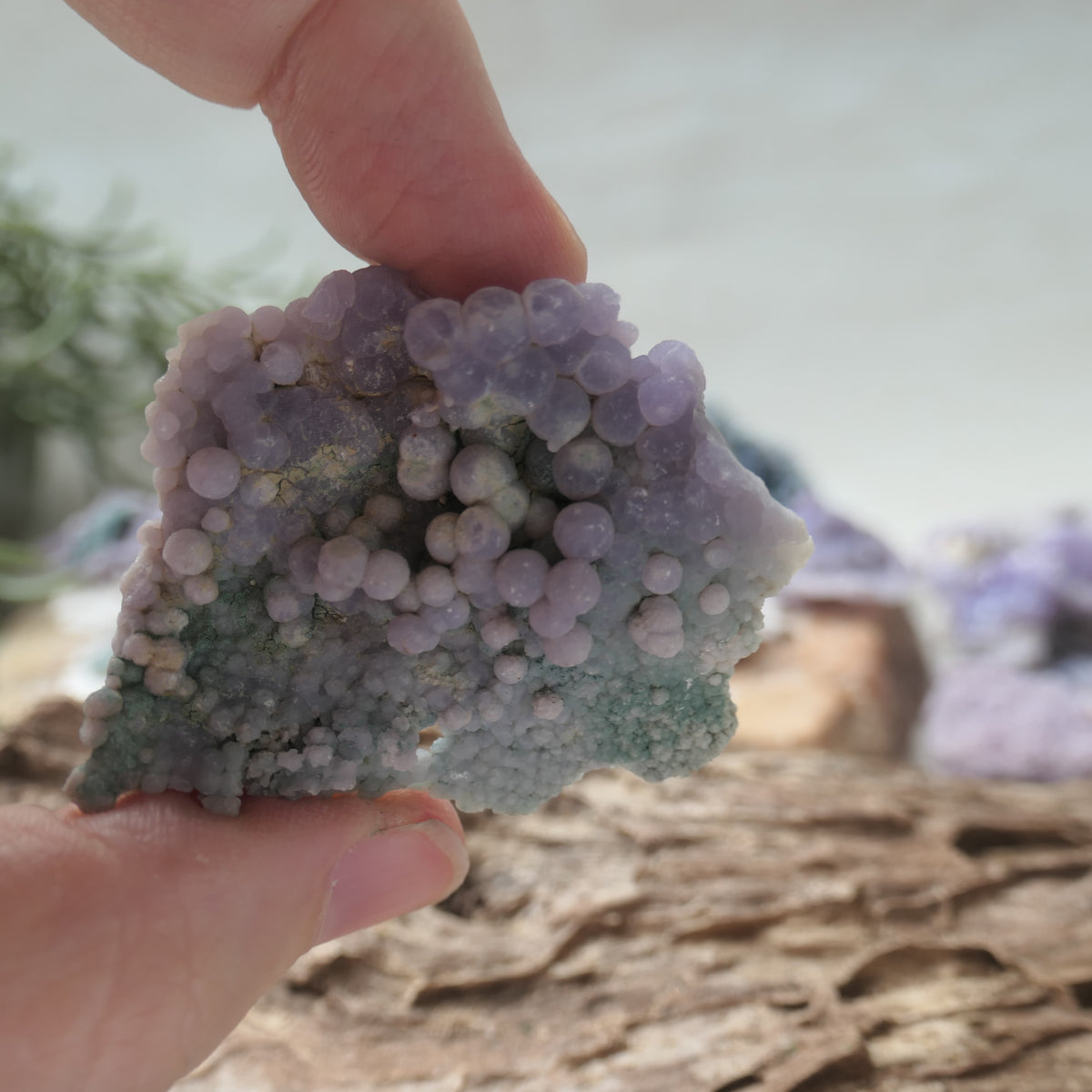 Grape Agate Piece - SM13