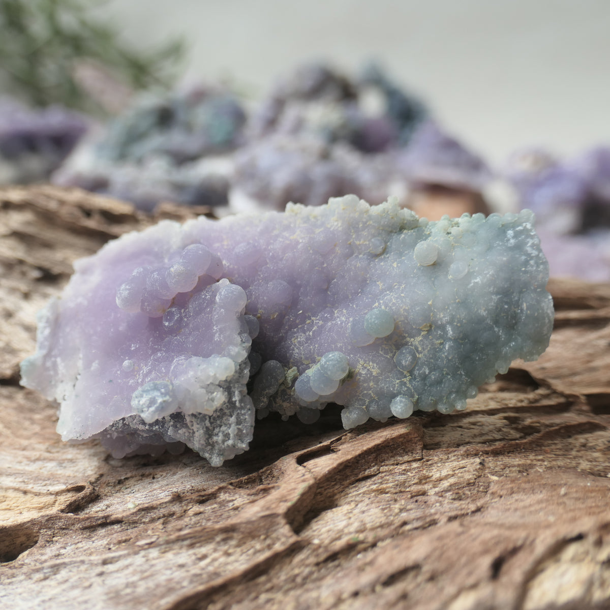 Grape Agate Piece - ME5
