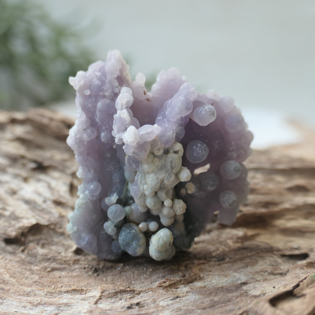 Grape Agate Piece - SM3