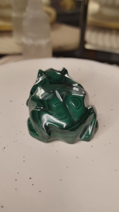 Malachite Frog