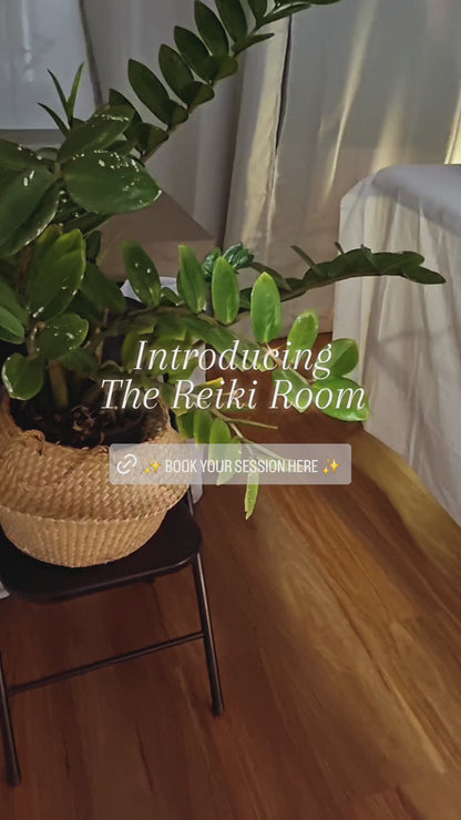 1 hour Reiki Session