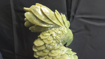 Chinese Jade Cockatoo
