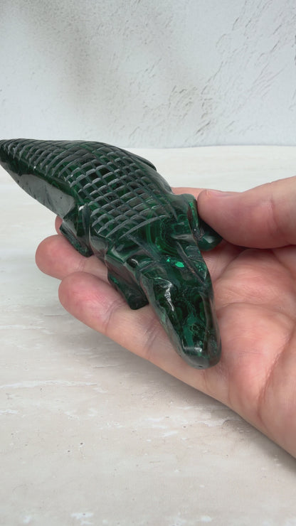 Malachite Crocodile