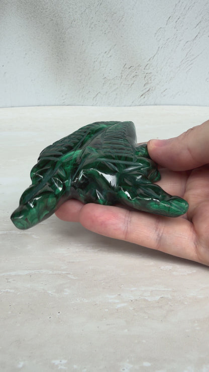 Malachite Twin Crocodile